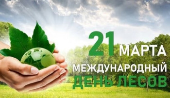 День лесов День лесов.