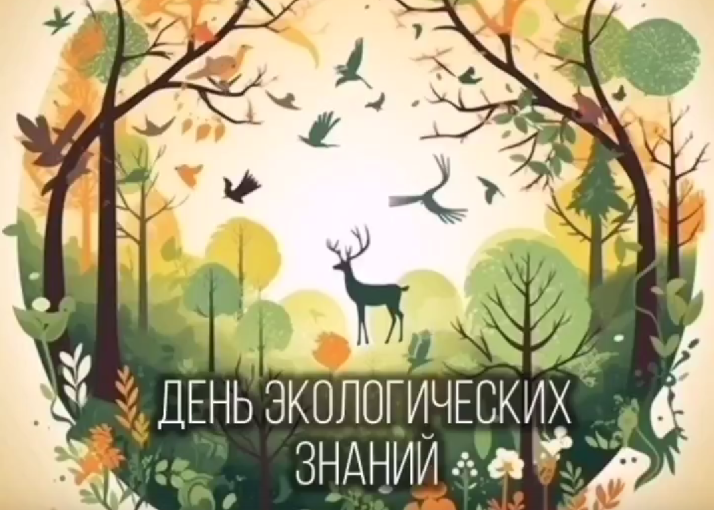 День экологических знаний День экологических знаний.